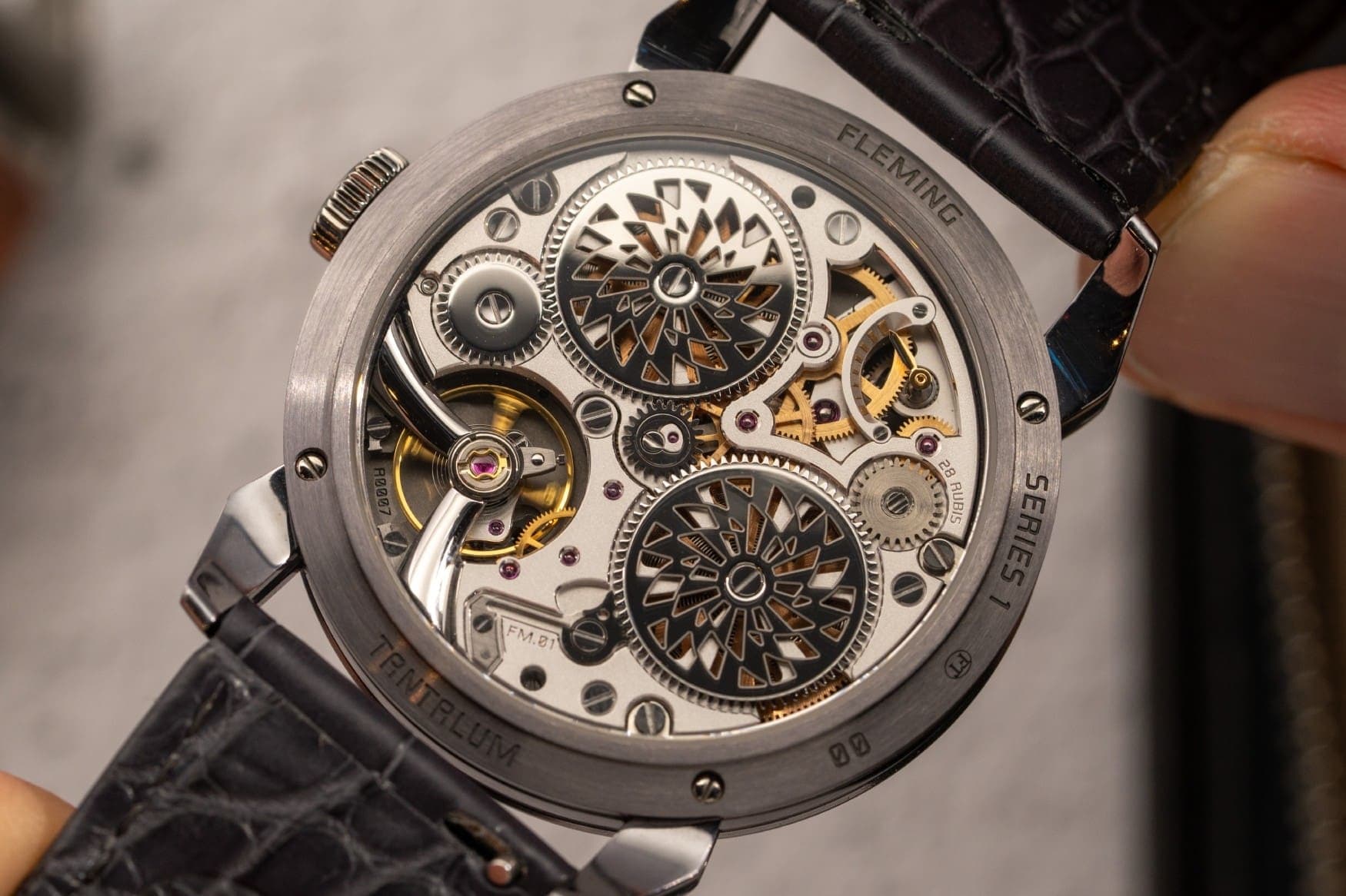 Fleming S1 on landscape